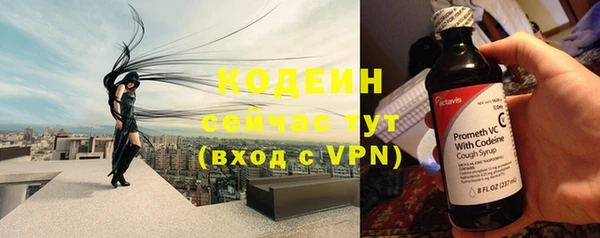прущие грибы Каменногорск