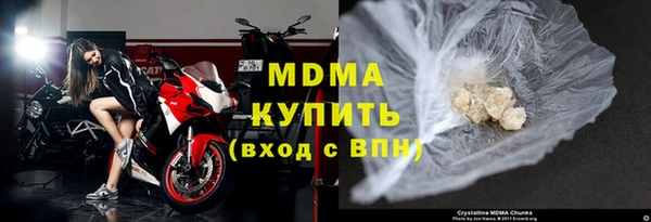 прущие грибы Каменногорск