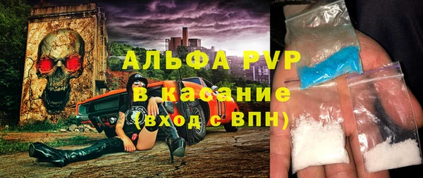 прущие грибы Каменногорск