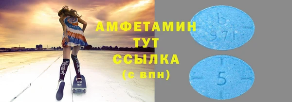 прущие грибы Каменногорск