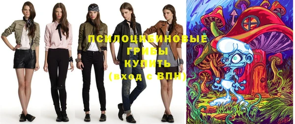 прущая мука Каменка
