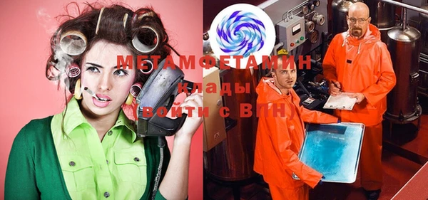прущие грибы Каменногорск