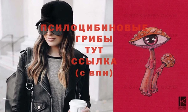 прущая мука Каменка