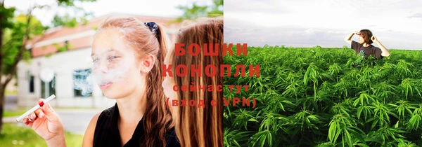 прущая мука Каменка