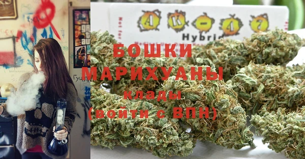 прущая мука Каменка