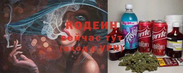 прущая мука Каменка