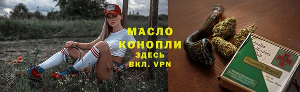 прущие грибы Каменногорск