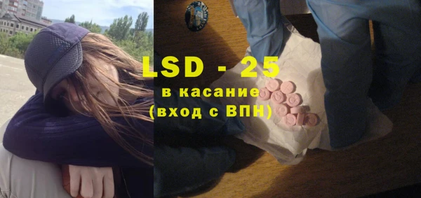 прущие грибы Каменногорск